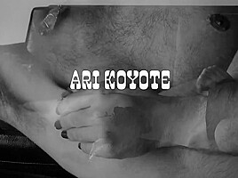 Ari Koyote