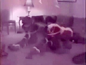 Catgirls caught and hop in bondage