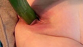 Cucumber