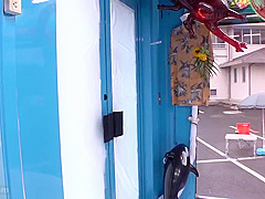 EGWC318 Cuuuuuuty Japanese porn WOWOWOW