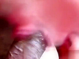 Gay Brazilians Blowjobs