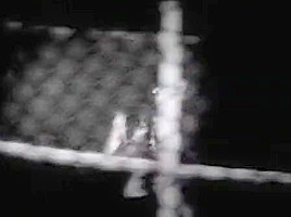 Horny Outdoor sex movie
