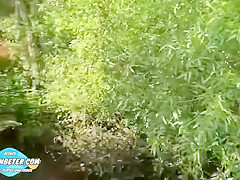 Libertine Babe Hot Xxx Outdoor Pov Scene