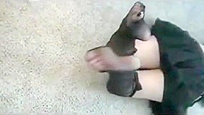 Net Stockings Feet and Legs - File CORAP SEVERLERE