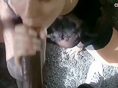 Nice Interracial Pov Blowjob