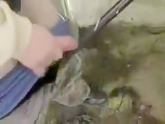 Police Cumming Around