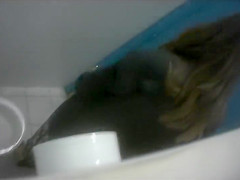 Saucy bimbos get taped urinating in the public toilet