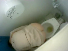 Saucy bimbos get taped urinating in the public toilet