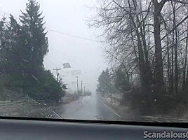 Sexy GF Shows Off Her Pussy In The Car