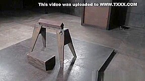Suspended Sub Toyed In Juicy Vag With Dildo