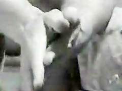 Wank And Cum