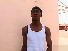 White dude gets dick sucked by black