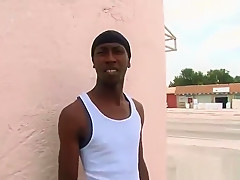 White dude gets dick sucked by black
