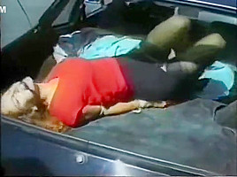 Whitney car jacked