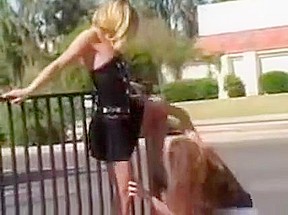 public lesbians