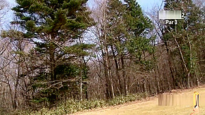 slutty japanese girl sucks cock and swallows on the golf course