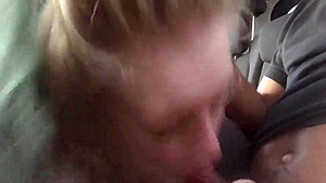 snowbunny head 14 final and swallow